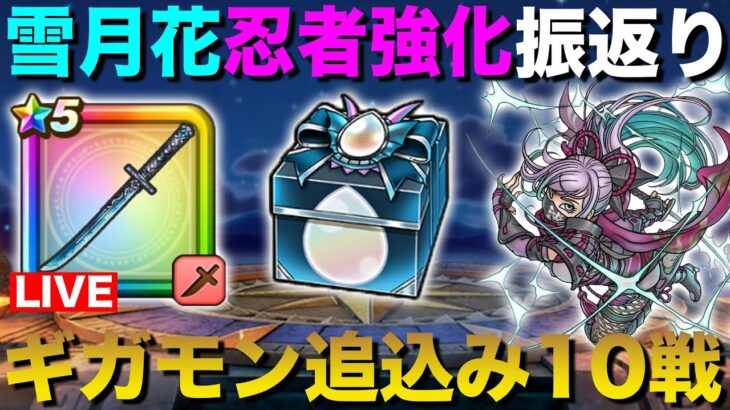 【ドラクエウォーク】雪月花総合評価・ニンジャ強化について!! ギガモンは10連戦行きます!!【DQW】