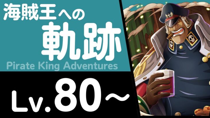 【トレクル】海賊王への軌跡「シリュウ」