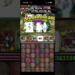 【パズドラ】過去ダンジョンをフリーレン編成で潰す。永刻の万龍編#フリーレン #葬送のフリーレン