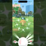 【難易度中】色違いロコン極小サークルクリティカルゲット【ポケモンGO】