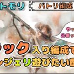 【バトリ関連 #60】フラック入り編成でレジェリ遊びたい配信！【メメントモリ/ココもち】