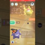 りるるさんとキラ交換したらまさかの展開！#ポケモンgo最高！