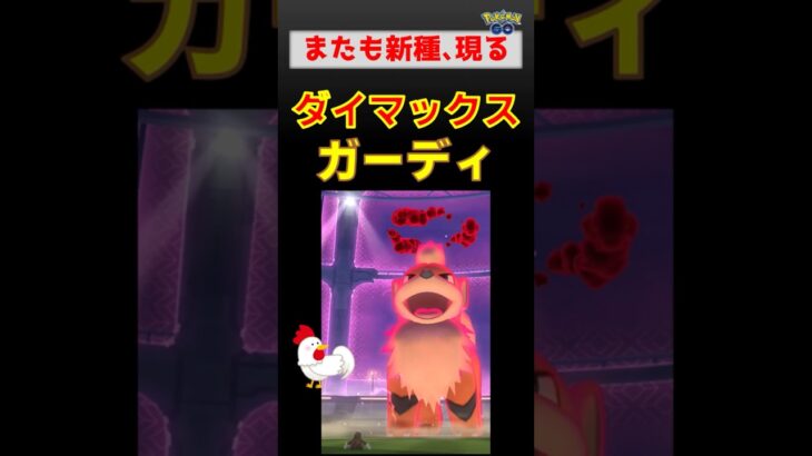 新種！【ダイマックス ガーディ】 #ポケモンgo #ポケモン #pokemongo #ダイマックス #ガーディ