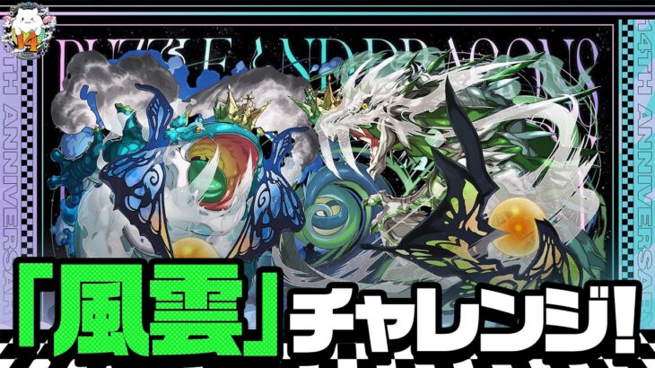 【パズドラ】新称号「風雲」初見チャレンジ！！！！