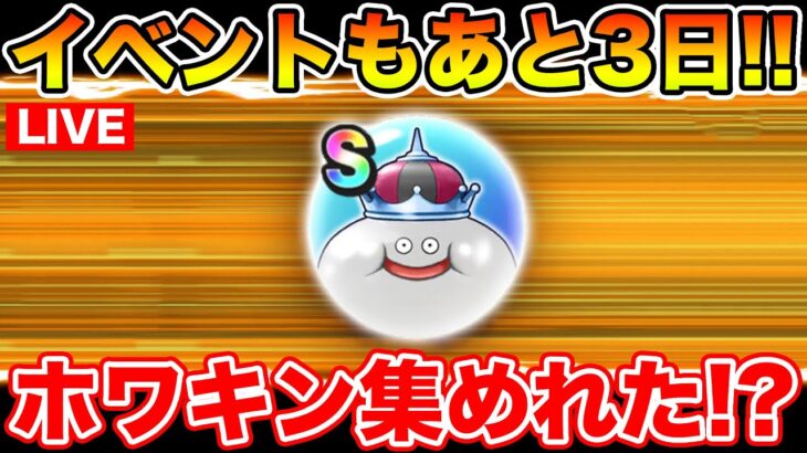 【ドラクエウォーク】イベント終盤!! ホワイトキング追込み＆ボナダンのカギ集め!!【DQW】