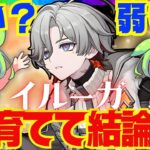 【原神】遂に実装「イルーガ」は強い？弱い？育てて使ってみた上で解説をします！おすすめ編成や武器、聖遺物についてもお話します【ずんだもん】