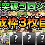 【パズドラ】育成枠3枚で自由！全敵対応！＋限界突破コロシアム！修練堂！超絶壊滅級！1周4分台！フリーレンフェルン×フェルン編成でプラス上げ周回！