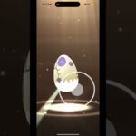 ポケモンGOで10kmタマゴを割る。part3 #music #shortvideo #pokemon #funny #ポケモンgo #ポケモンgo好きと繋がりたい #政治