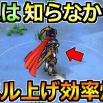 【ドラクエウォーク】話題のレベル上げ効率化を最大化する方法！これは知らなかった情報も！