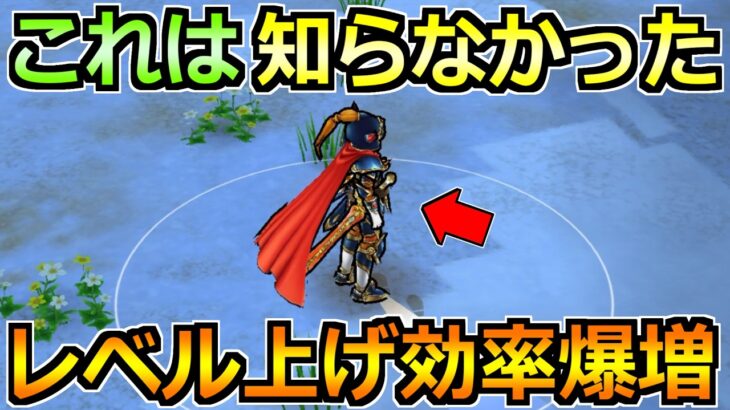 【ドラクエウォーク】話題のレベル上げ効率化を最大化する方法！これは知らなかった情報も！