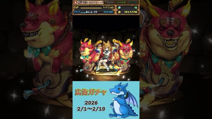[パズドラ]  広告ガチャ　2026/2/1〜2/10