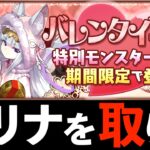 【最終点検】バレンタインアテナの数やMPプリムの扱いについて！ラインハルター以外も必見です！【パズドラ】