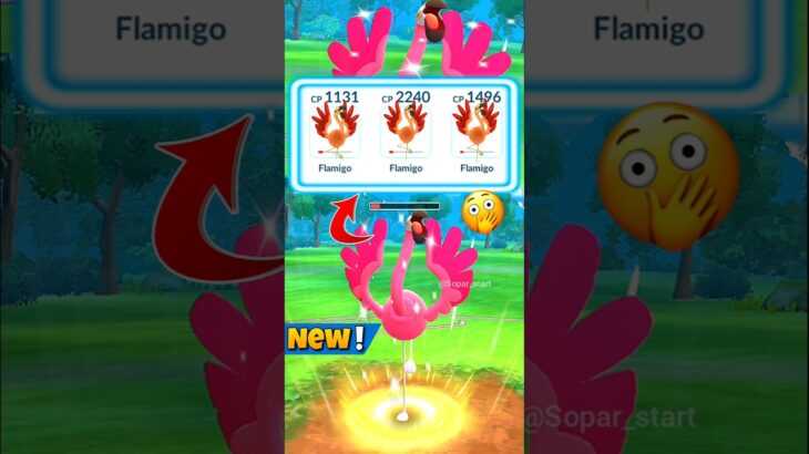 3 Flamigo pokemon 😲10HP Battel in pokemon Go #soparstart #mobilegame #pokemon #pokemongo #shortsfeed