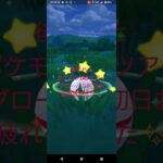 【ポケモンGOツアーグローバル】やったのですがある意味凄い事になりました✨
