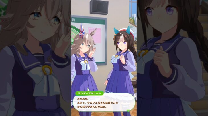 ホッコータルマエ日常会話4 #ウマ娘 #ウマ娘プリティーダービー #ホッコータルマエ  #shorts