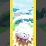 #マジでマルマイン強すぎ卍！#ポケモンgo #ポケモン #pokemongo