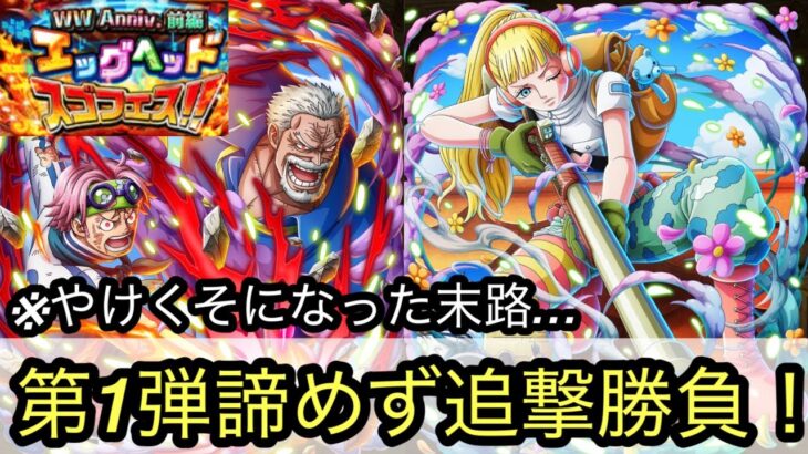 [トレクル] WWアニバガチャ前編第1弾追撃！諦めてない、やけくそになるそんな時…[OPTC][ガチャ]