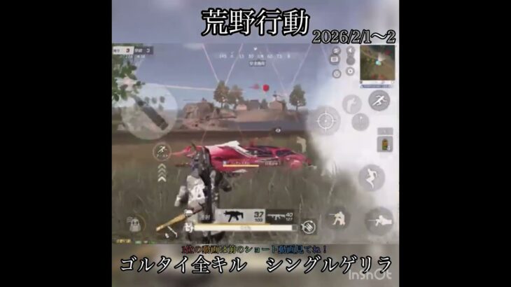 【荒野行動】2日間ゴルタイ全キル‼️ シングルゲリラ