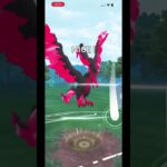 エンペじゃなければ危なかった、　 #pokemongo #ポケモンgo #gbl #ポケモン　 #pokemon #pvp #gobattleleague