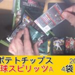 2026 カルビー プロ野球スピリッツＡ チップス 4袋　開封 – みづの廃信