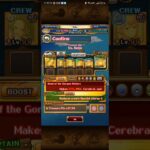 OPTC TM VS REIJU INTRUSION (FULL BATCH TEAM)