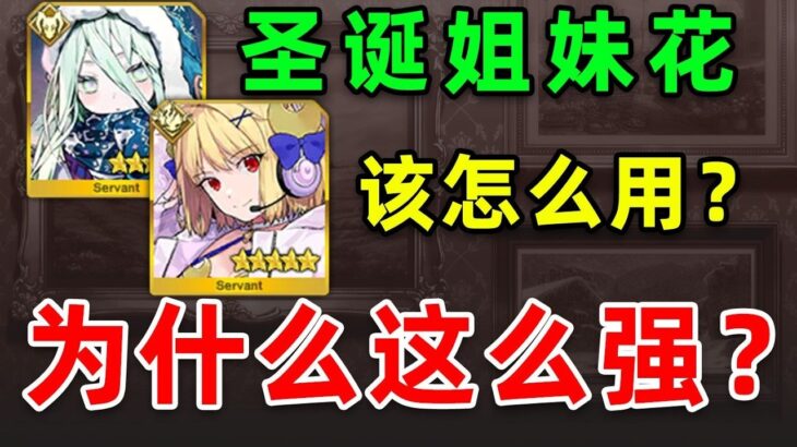 为什么说娄希是最通用的副手？她和圣诞公主的组合技强在哪里？娄希&月披多核组队实战测试讲解【FGO】