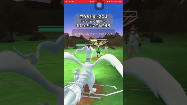 【ポケモンGO】イッシュ伝説３枚パーティ【GBL】#shorts #ポケモンgo #gbl #ポケモン #マスターリーグ