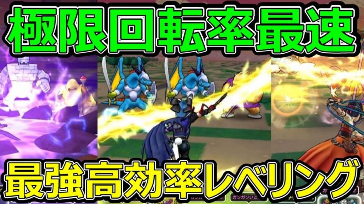 【ドラクエウォーク】回転率最速！回転革命高効率レベリングがヤバすぎる!?【岐阜のあたたたの地図】
