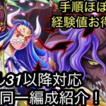 [トレクル]絆決戦VSうるてぃ＆ページワン、完全無特攻同一編成紹介！手順も同じ、経験値も豊富でお得に周回！[OPTC][絆決戦]