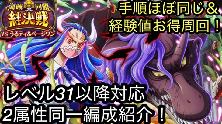 [トレクル]絆決戦VSうるてぃ＆ページワン、完全無特攻同一編成紹介！手順も同じ、経験値も豊富でお得に周回！[OPTC][絆決戦]