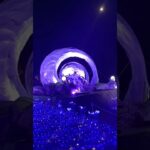 【原神】マザー牧場でコロンビーナに会ってきました #原神 #原神ショート #genshinimpact #げんしん