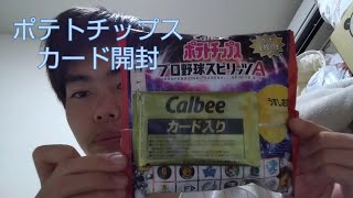 ポテトチップスうすしお味プロ野球スピリッツＡカード開封！