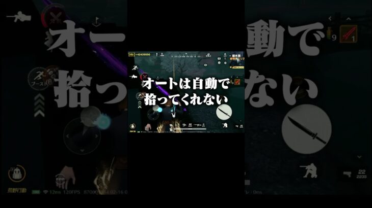 ペニンシュラ金運財神がヤバイ！#荒野行動 #荒野ウマい感謝祭 #ペニンシュラ