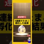 3連続のたまご孵化結果！今回の成果は？#ポケモンgo #たまご孵化 #pokemongo #新道ひかり