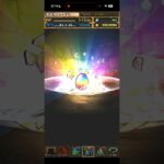 奇跡が起こったゾッダ虫一点狙いガチャ【パズドラ】