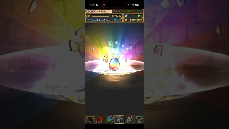 奇跡が起こったゾッダ虫一点狙いガチャ【パズドラ】