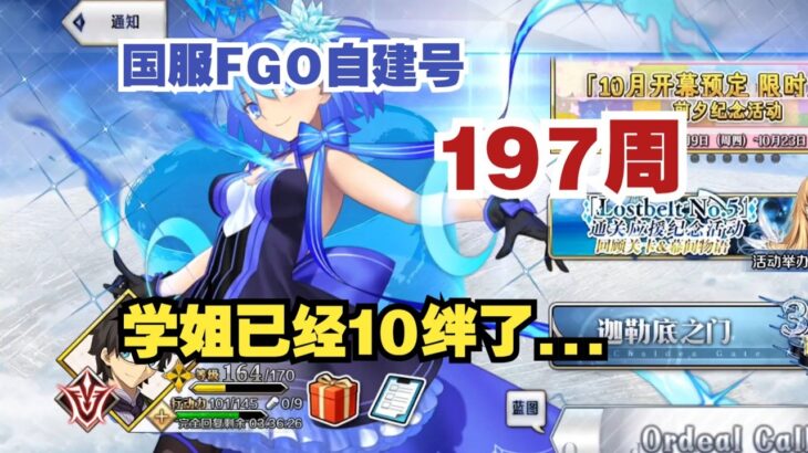 国服FGO自建号第197周