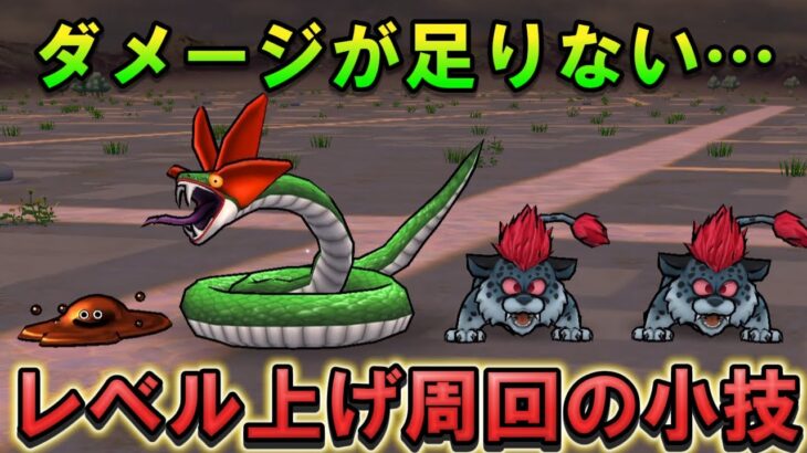 【ドラクエウォーク】レベル上げ周回の小技！ベホイミで周回時間を削る方法