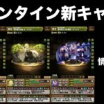 新バレンタインキャラクター情報！！ラインハルトとレムラムのサブ！？【パズドラ】