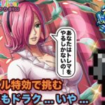 【トレクル】トレジャーマップvsシュガー開幕!!ドラクル…じゃないトレクル頑張るぞ!?虹色Planet のワンピーストレジャークルーズしっかり生配信#933【トレクル OPTC トレマ】