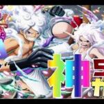 【トレジャークルーズ】【ガチャ】神ガシャ降臨(=ﾟωﾟ)ﾉ新規さんに引いて欲しい！スタートダッシュ超スゴフェス!!を50連です!!