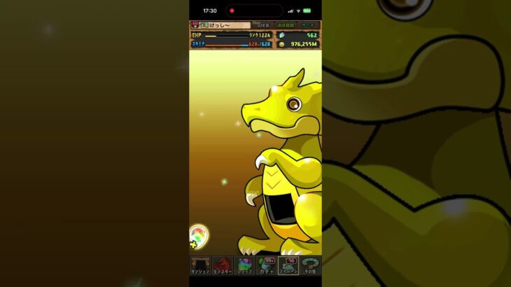 一度きり！超お得セットガチャ　#パズドラ　#パズル　#ガチャ #お得