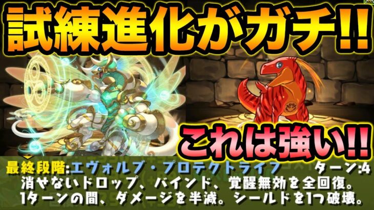 最新の試練進化がガチすぎる【スー☆パズドラ】