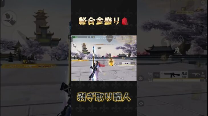 軽合盛りリュック#荒野行動 #knivesout #ペニンシュラ大脱走