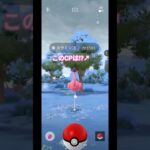 【ポケモンGO】カラミンゴの個体値は⁉️ #ポケモンgo #ポケモン #pokemongo #pokemon #個体値100 #100% #カラミンゴ#フィールドリサーチ#リサーチ #shorts