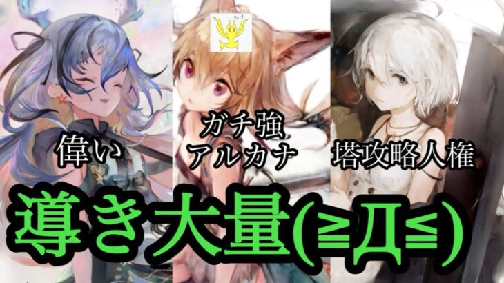 【メメントモリ】導き大量！ルサ！フィアー！その他！評価！【メメモリ】