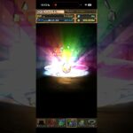 ゾッダすぎる引きをした【パズドラ】