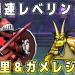 【ドラクエウォーク】爆速レベリング。千里＆ガメレジェ！【dqw】