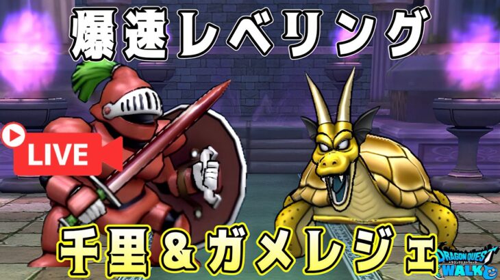 【ドラクエウォーク】爆速レベリング。千里＆ガメレジェ！【dqw】