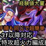 [トレクル]絆決戦VSうるてぃ＆ページワン、無特攻同一編成紹介！手順、編成同じで経験値かお宝追加好きな方でお得に周回！[OPTC][絆決戦]